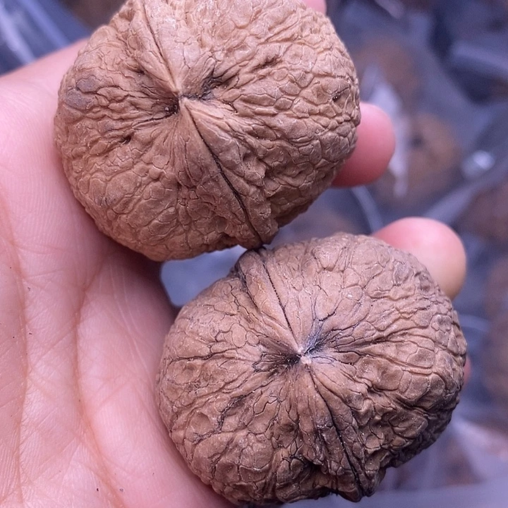 把件文玩核桃   17