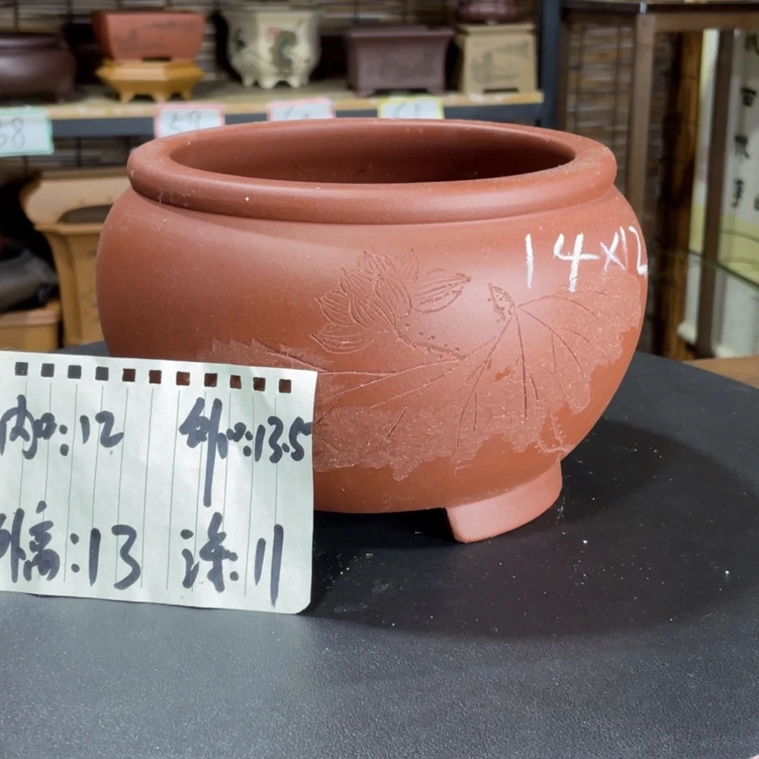 紫砂花盆在我这里