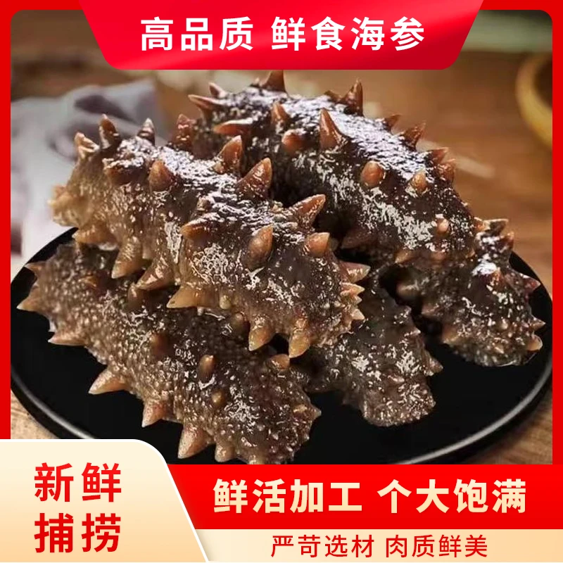 开袋即食新鲜刺参正宗大连海参大连刺参大连鲜食海参