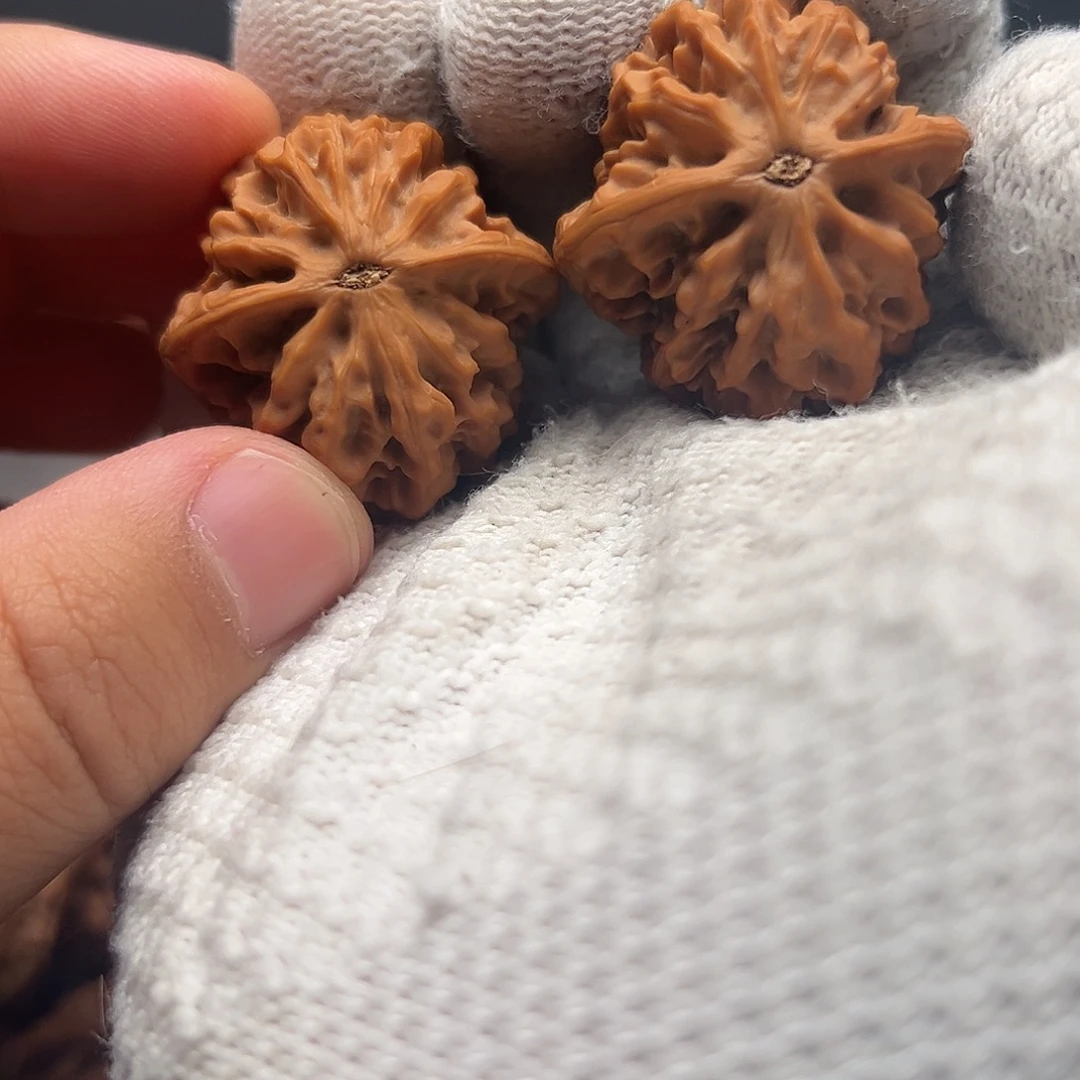 老***虎文玩核桃吊坠秦闷狮子头全品