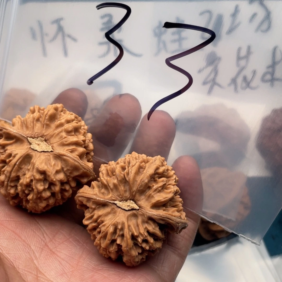 自***人核桃57373535773557373575