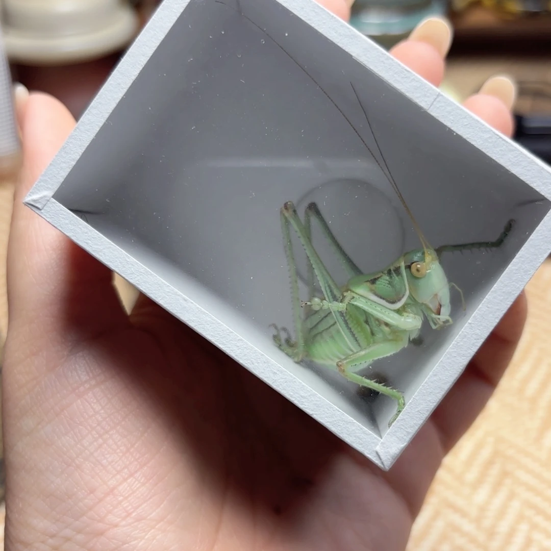 差价哈哈哈哈哈哈哈