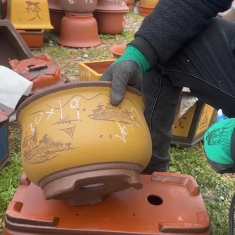 红陶紫砂花盆盆景盆栽