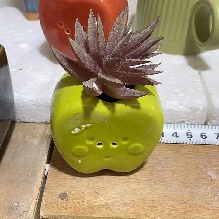 陶盆有孔 瑕疵针孔漏釉介意勿拍外口 2外高5.5