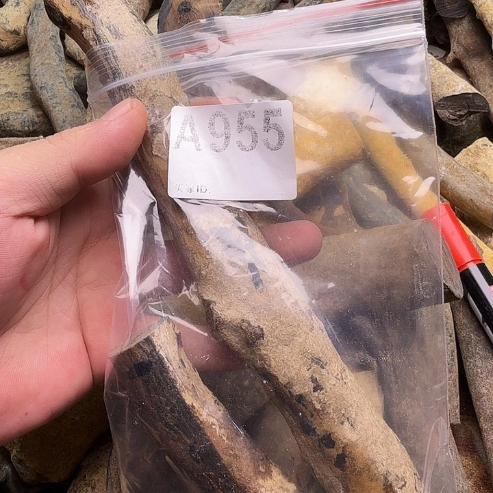 扇子955啊啊啊啊啊啊啊啊啊