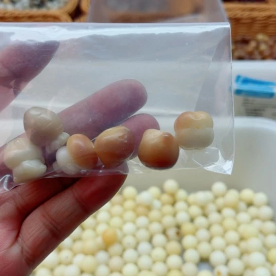 ****花白玉菩提吊坠雕刻件6