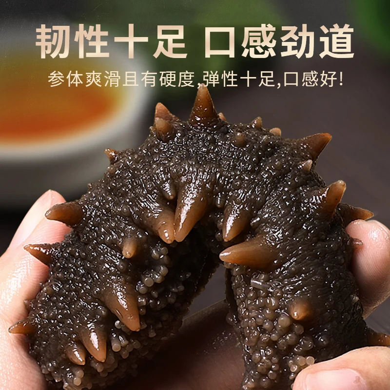 【参博会专属】劲道口感7-9头刺参500g鲜食海参新滕海品质营养