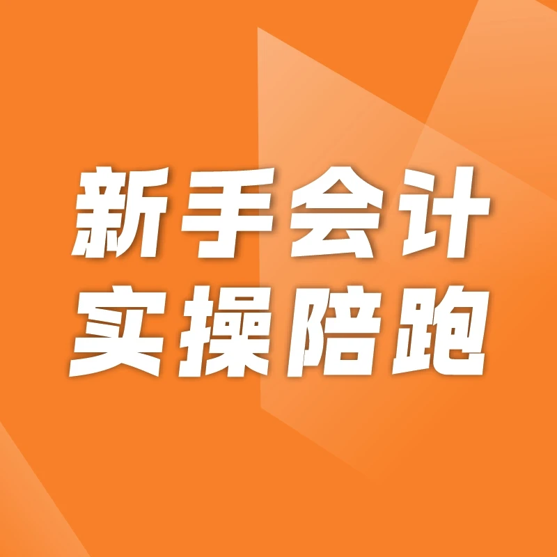 新手会计 实操陪跑