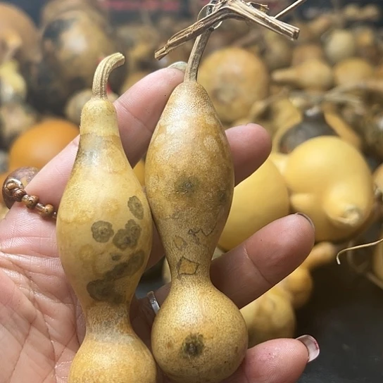 用****1葫芦葫芦hu lu hu lu