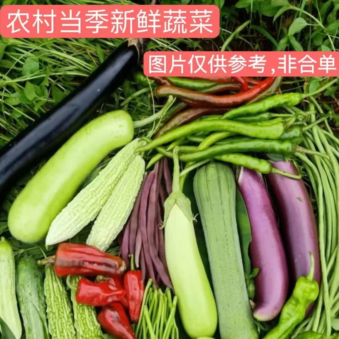【农家蔬菜新鲜称重】