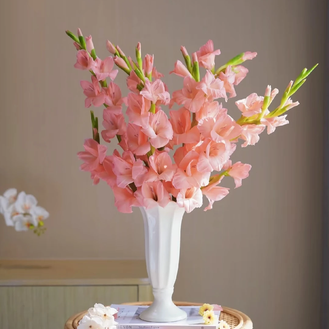 特价 节节高『粉色剑兰5枝』高雅优美 全场任意满两单鲜花顺丰京东包邮 三单鲜花送玻璃花瓶鲜花直播次日达包邮