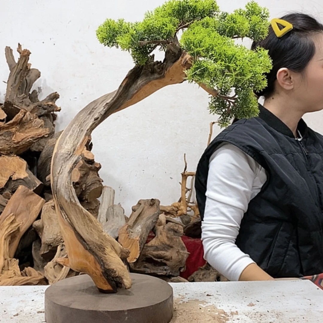 【闪购商品】柏木调*猫我们都是好孩子