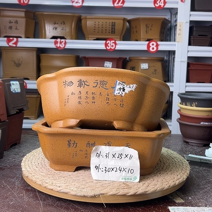 花盆紫砂蛇年大吉