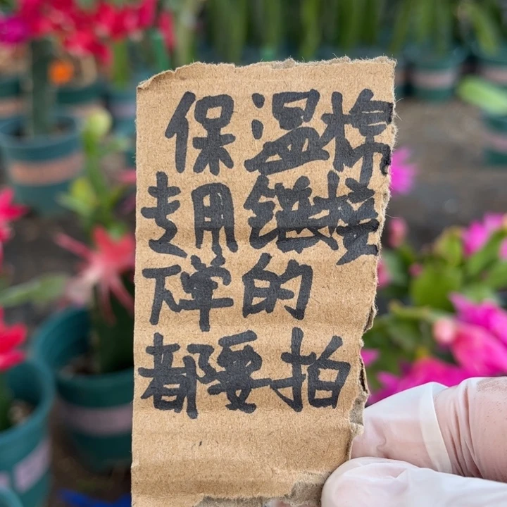 保温棉下单的都要拍