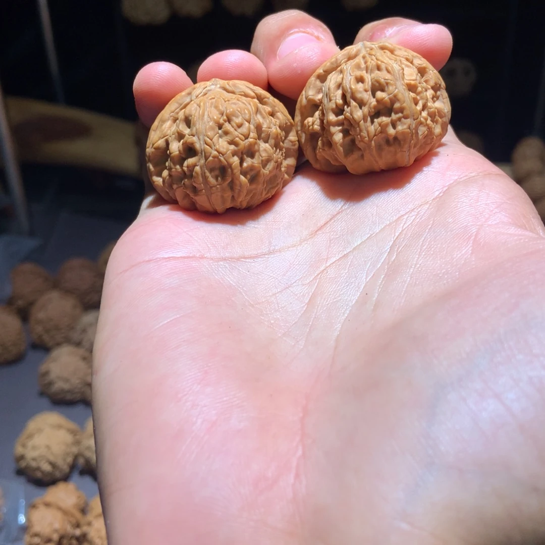 黑***）白狮子手捻文玩核桃