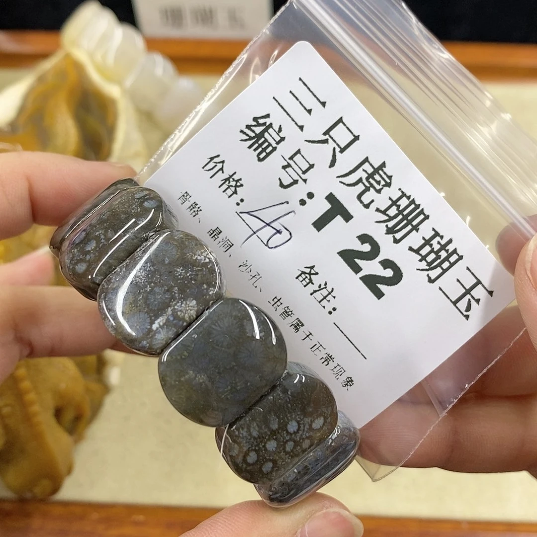 硅化珊瑚（珊瑚玉）1未镶嵌e****n