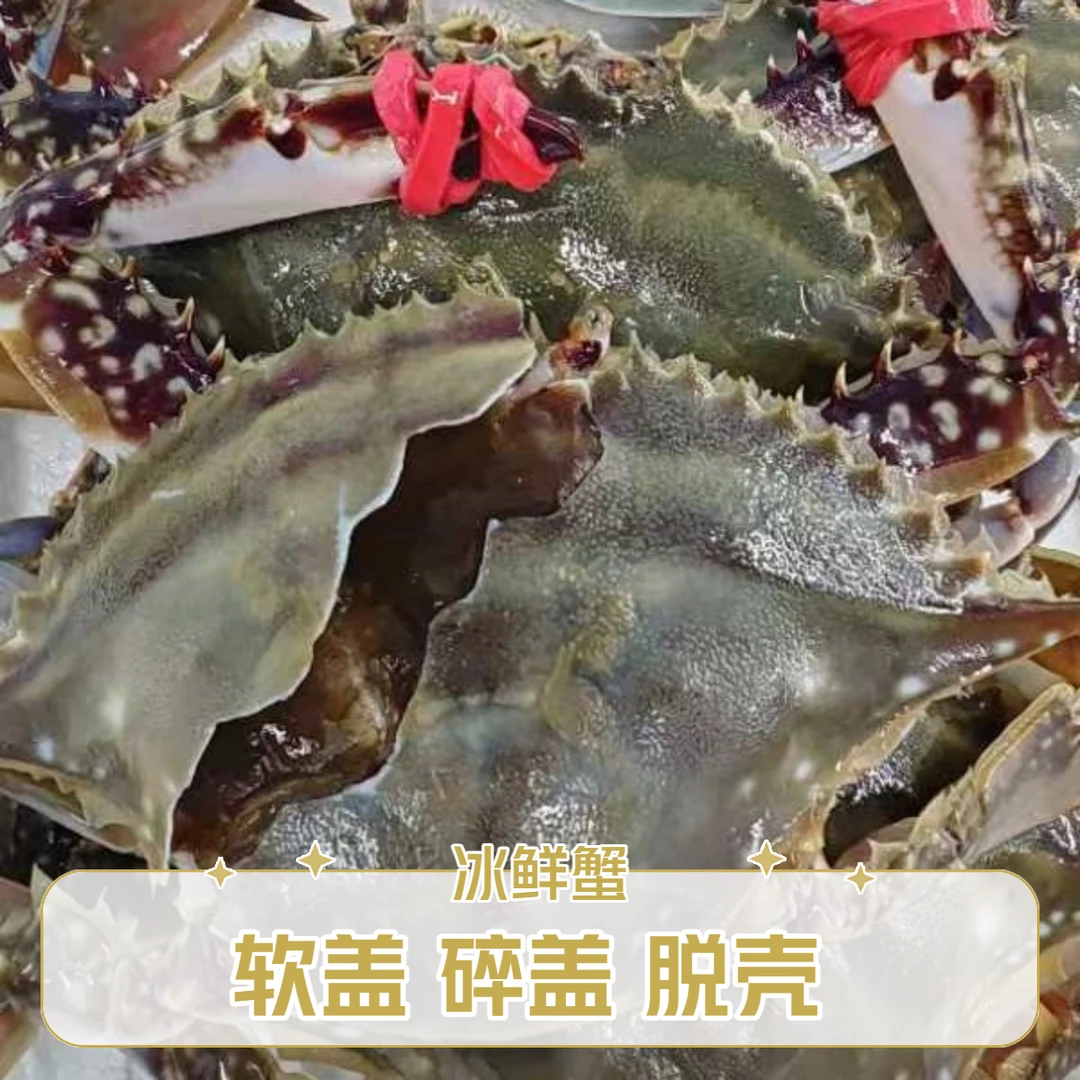 【保鲜不保活】软壳小姑娘蟹 3斤 单只2-3两 一斤3-4只 网挂掉腿