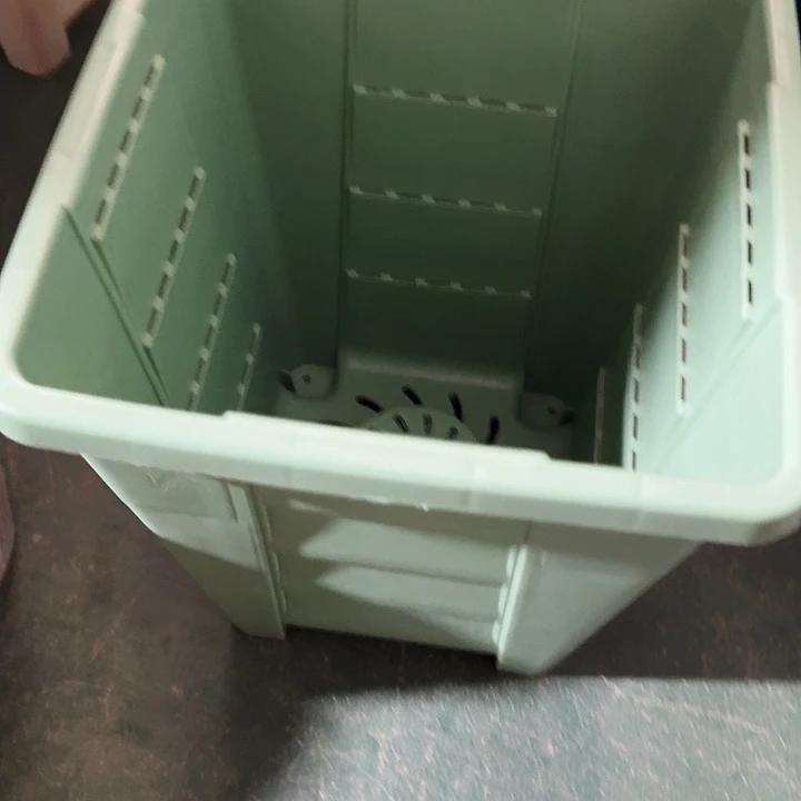 编号403果绿无托5个