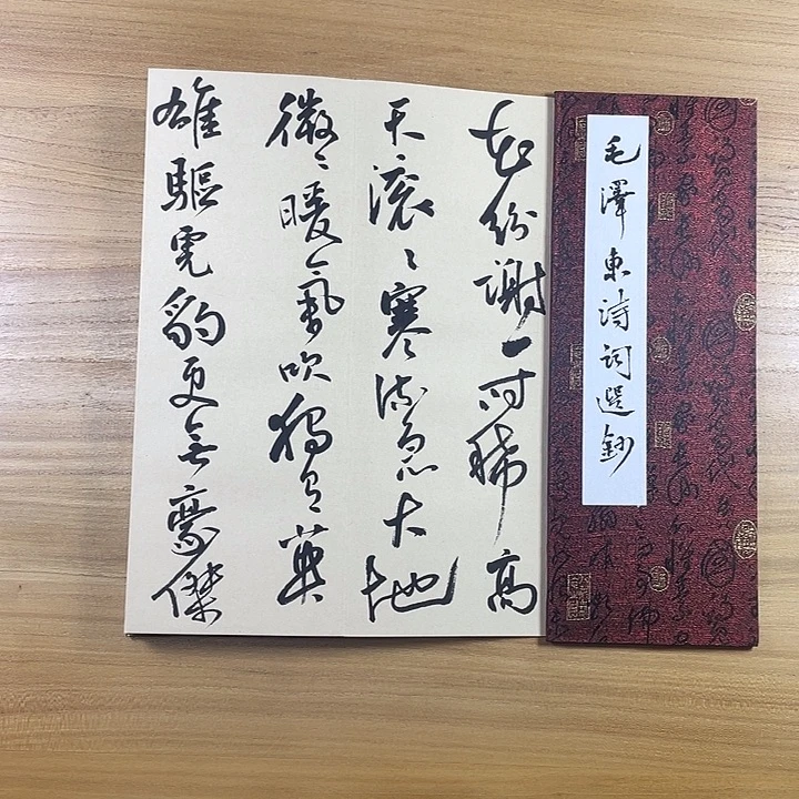 书法中书协会员作品