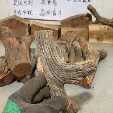 大果紫檀（缅甸花梨）向****赚