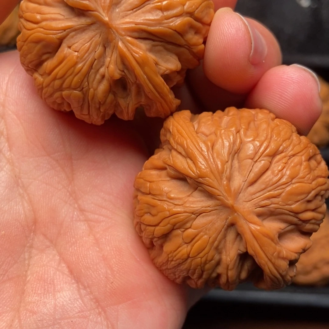 文玩核桃把件秦岭山脉核桃