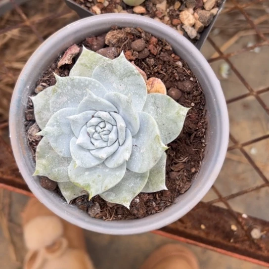 一***～谢谢宝～一物一拍3054