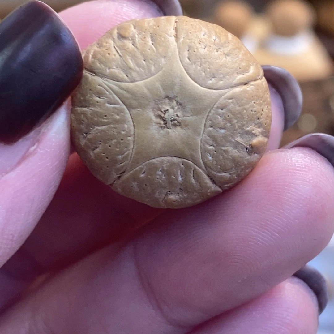 岁***、凤眼菩提吊坠21.8单颗五星