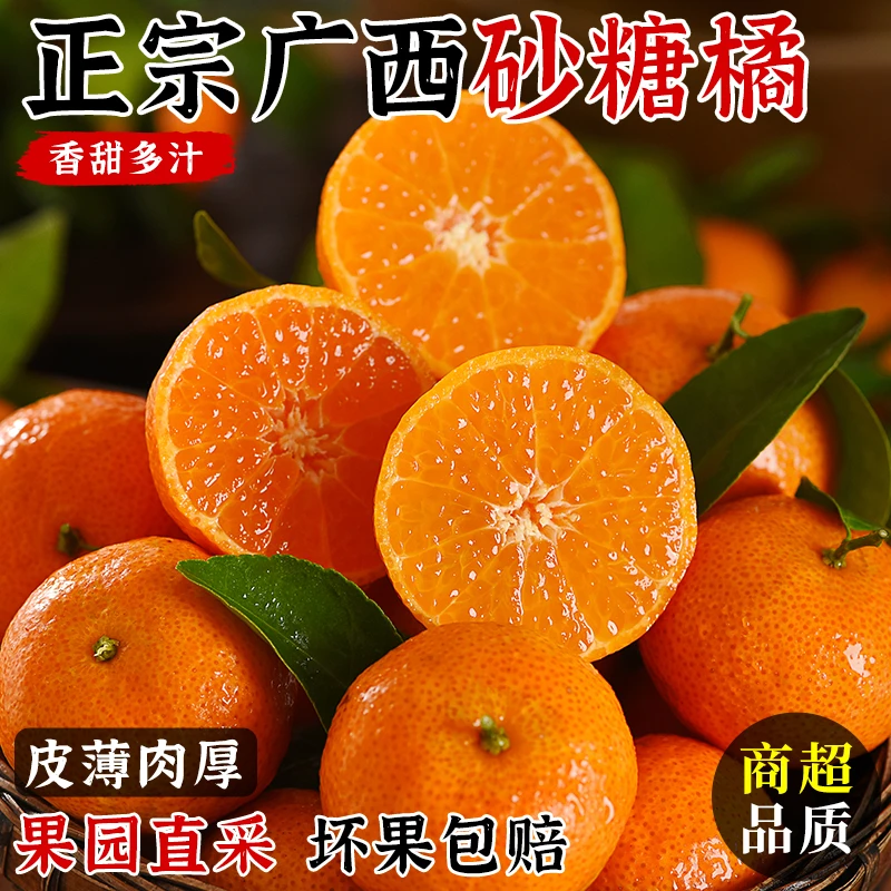 正宗广西砂糖橘新鲜水果当季现摘蜜桔金秋沙糖桔橘子贡柑整箱包邮