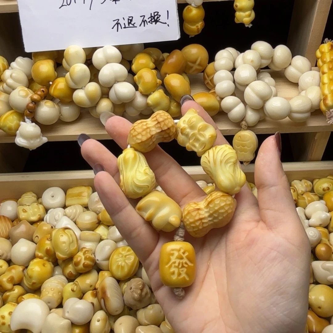 吊坠菩提根/象牙果全品