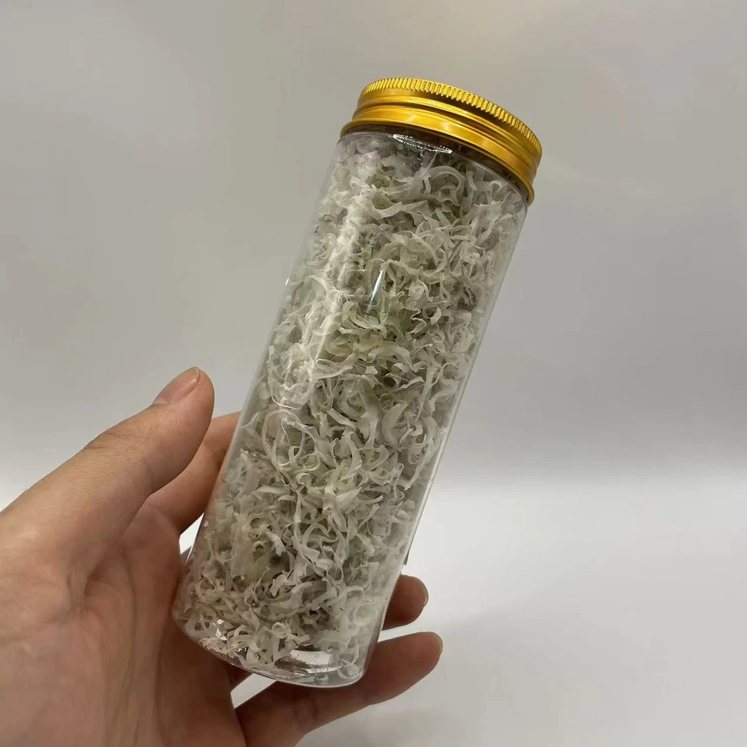 16号 O8样推荐时尚杯