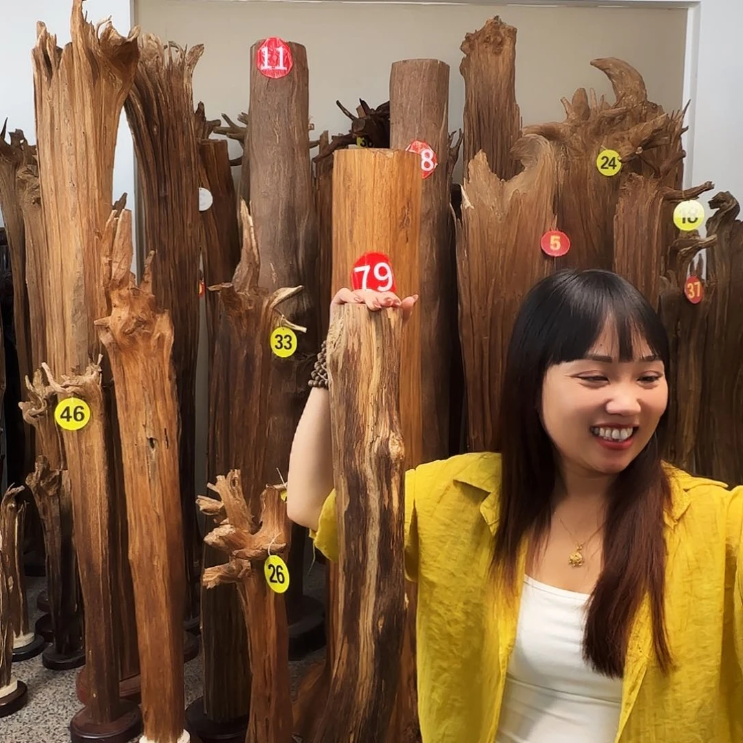 沉香沉香碎屑天然沉香原材料香料熏料