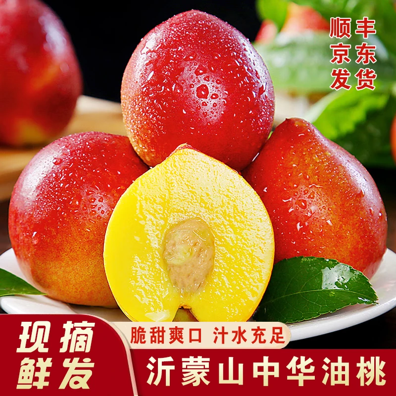 沂蒙山中华油桃新鲜采摘脆甜爽口应季水果 5斤装