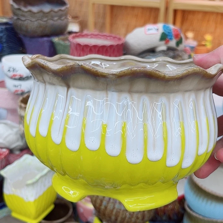 多肉植物陶瓷花瓶