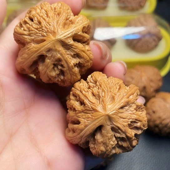 文玩核桃平谷粗筋