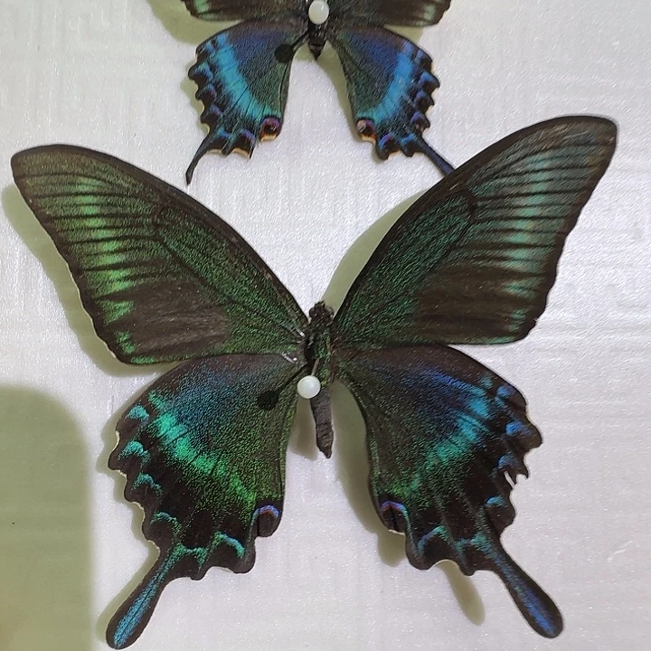 绿带组合带框10寸瑕疵