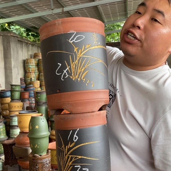 紫砂花盆盆栽花卉苗木