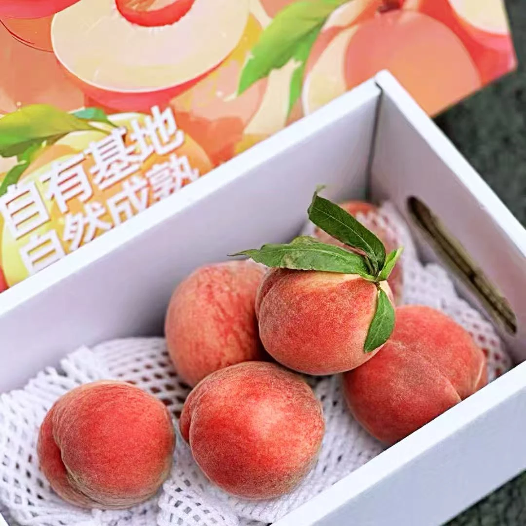 红颜美佳 脆桃 【需冷藏后食用】 净重4.2斤，约14颗 毛重5.3斤左右