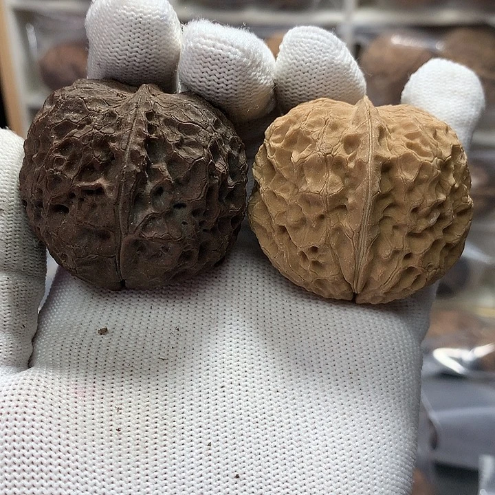 核桃绣球阴阳对5号