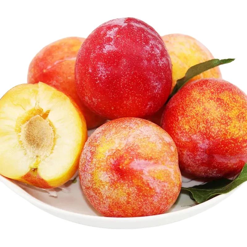 辽宁大红袍李子应当季水果李子包邮新鲜水果大红袍李子