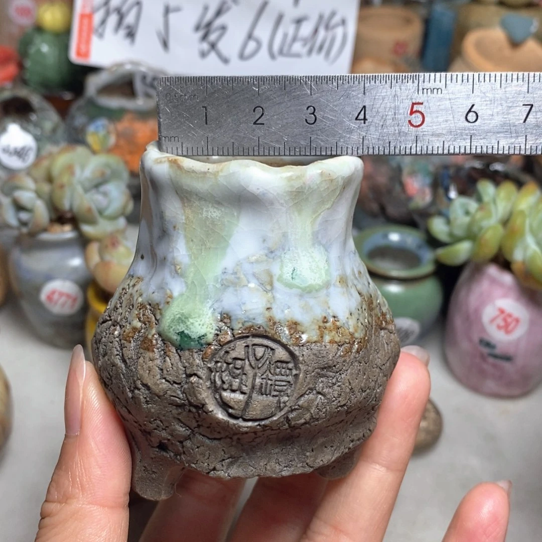 ?*扰处理的，处理的，处理