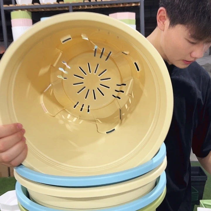 圆形控根口29.5高27.5混色无托5只