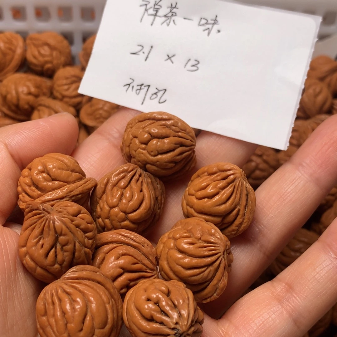 野生龙纹桃核霸王龙
