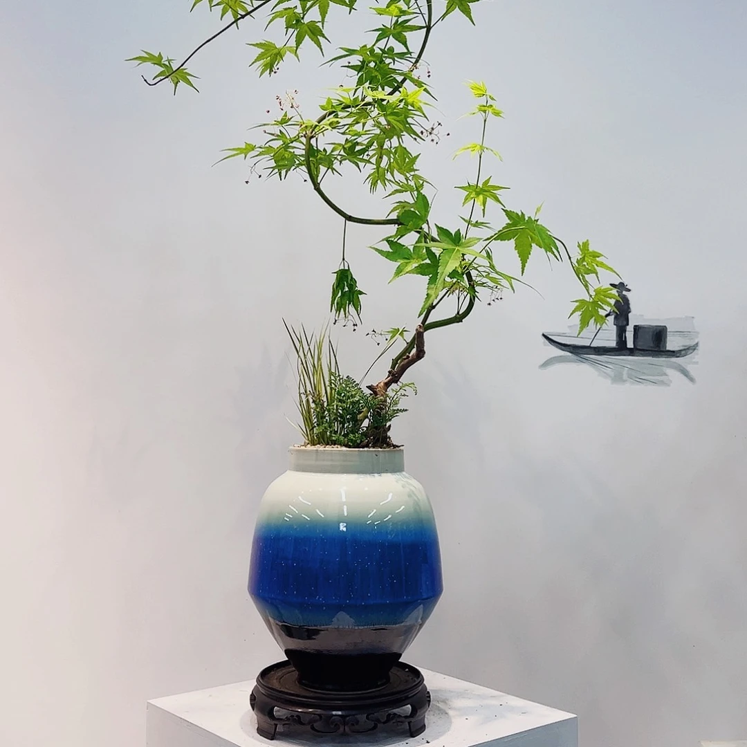 高端绿植一物一拍