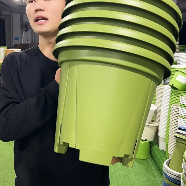 清仓青山口40高34果绿色5支无托