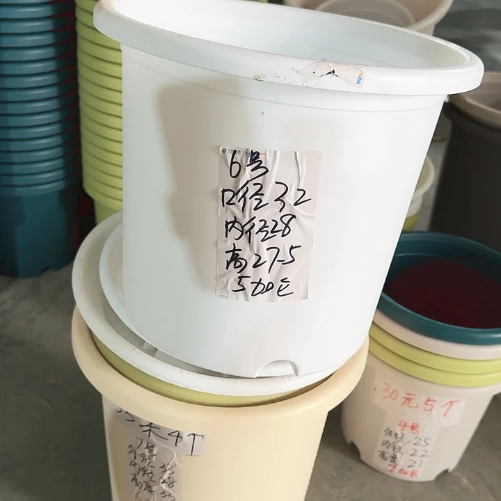 四季6#口径32白色5个无托