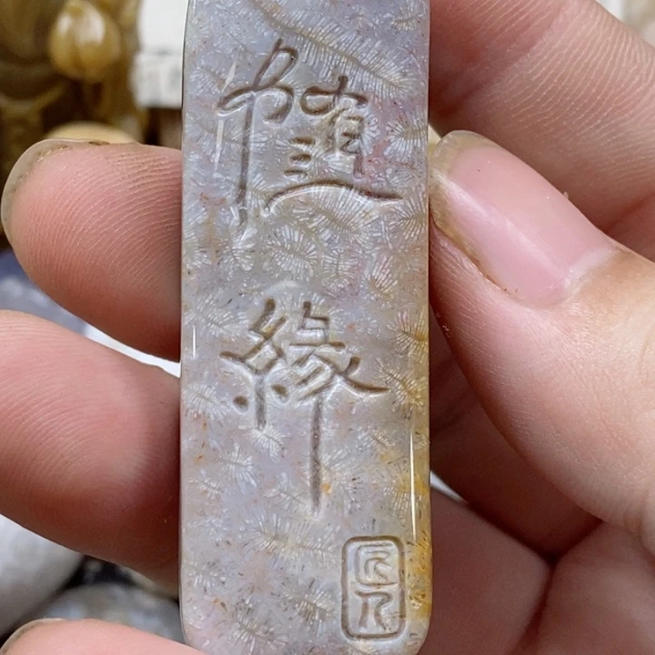 颈饰未镶嵌硅化珊瑚（珊瑚玉）