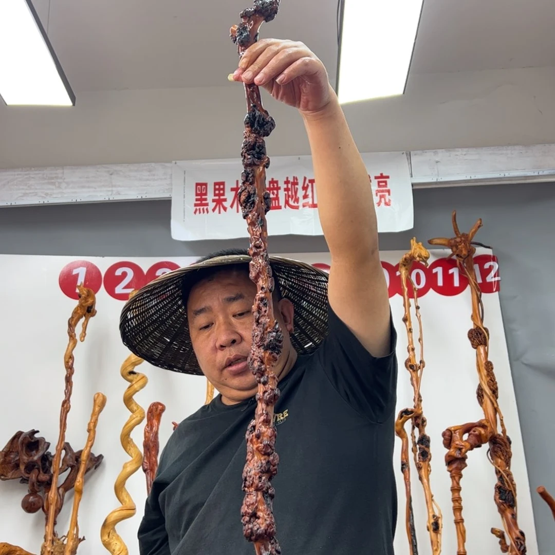 黑果木其他爱****毅黑果木581