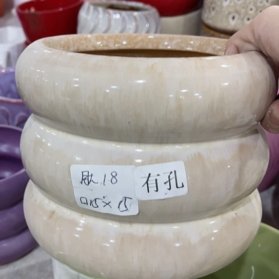 多肉哦绿植m96.96ajttppt