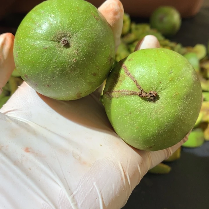 文玩核桃吊坠青皮特殊定制商品不退不换