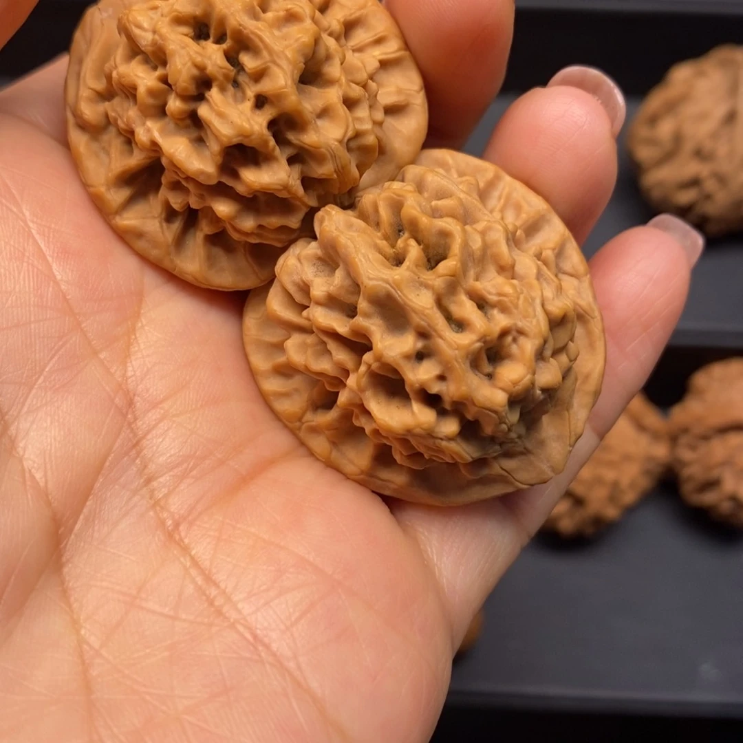 秦岭南北缘是个美丽迷人